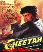 Cheetah 1994